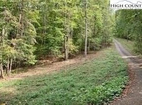 Walnut Hills Circle, Crumpler, NC 28617