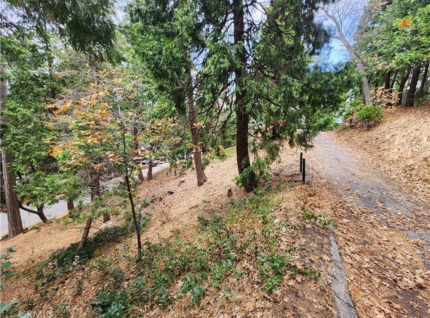 24397 Horst Drive, Crestline, CA 92325