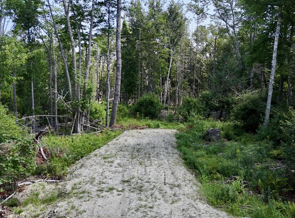 M08 L044-D Flye Point Road, Brooklin, ME 04616