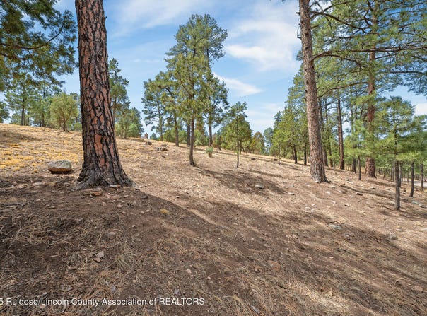 Twin Tree Loop lot: 19, Alto, NM 88312