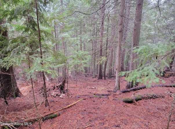 NKA Terry Trail, Priest River, ID 83856