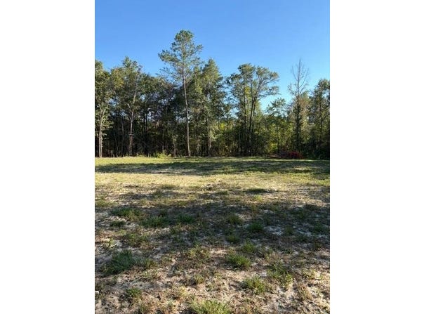 Good Hope Rd, Dozier, AL 36028