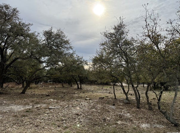 104 C Chisholm, Blanco, TX 78606