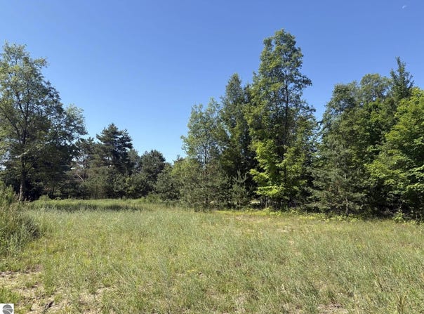 5551 N 9 Road, Mesick, MI 49668