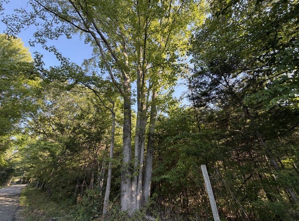 00-0 Tabscott Rd, Kents Store, VA 23084