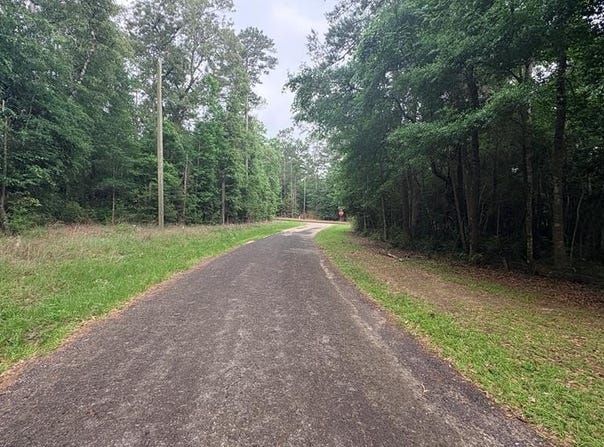 Perdilot Drive lot: 19&20, Woodville, TX 75979
