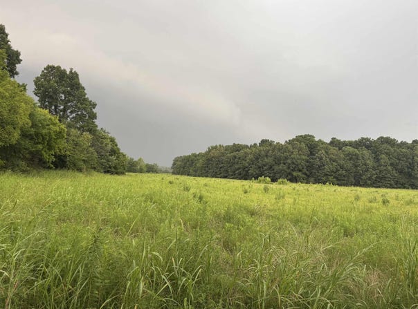 County Road 352, Piggott, AR 72454