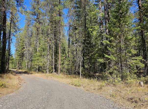 385X AGAR Rd, LOON LAKE, WA 99148