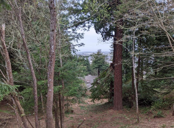2950 Terrace Avenue, Arcata, CA 95521
