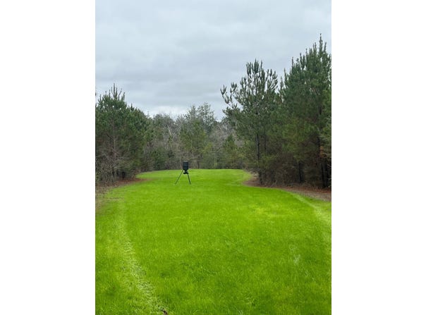 Buckatunna, MS 39322