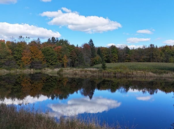 Duke Rd, Cincinnatus, NY 13040