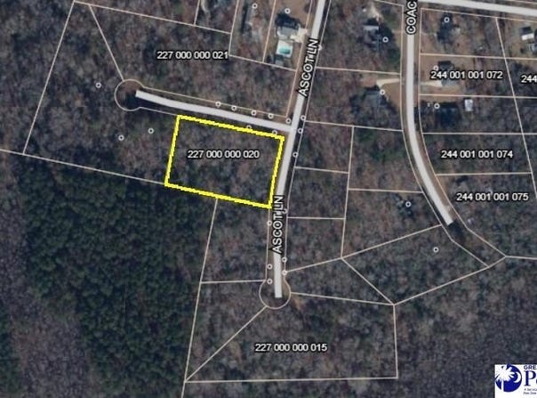 Ascot Lane, Cheraw, SC 29520