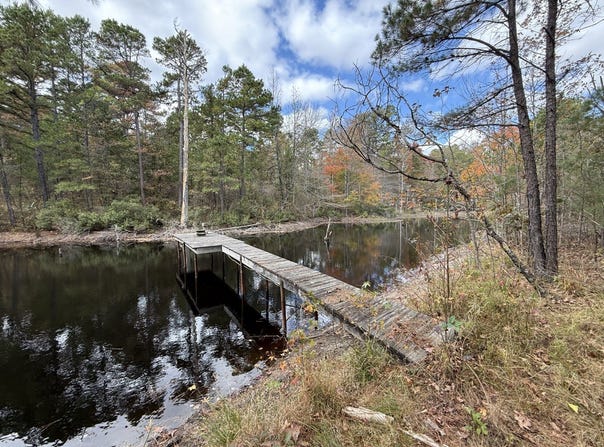 Stag Road, Gilmer, TX 75644