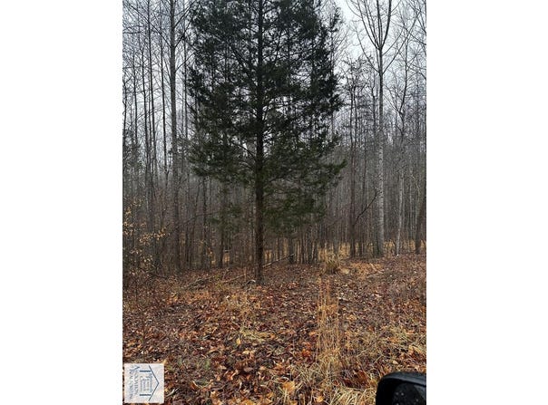 Lauren Mill Dr, Fieldale, VA 24089