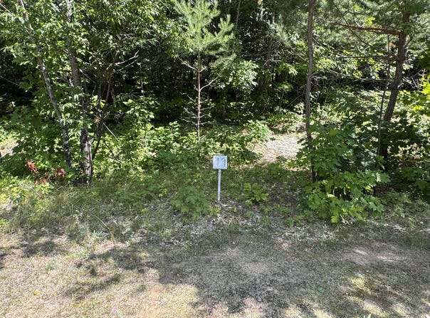 S Deer Run Rd, Kinross, MI 49752
