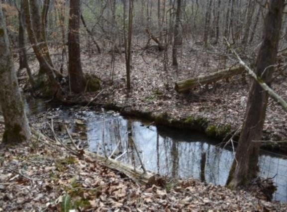 87+/-ac Boles Rd, Hilham, TN 38568