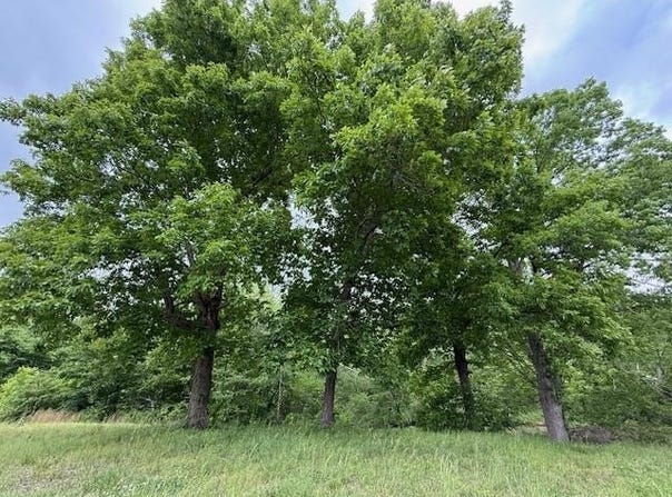 OLD HWY 72, Ashland, MS 38603