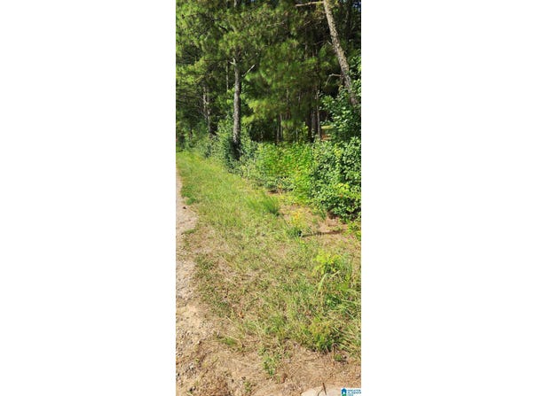 HICKS ROAD lot: 0, ONEONTA, AL 35121