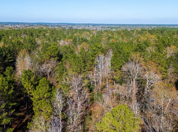 County Road 1135, Kennard, TX 75835