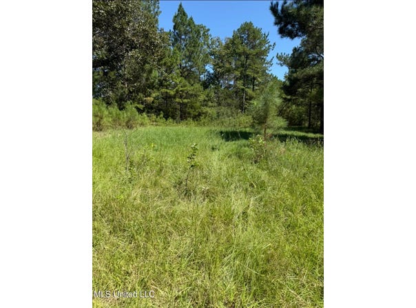 County Road 1113, Kosciusko, MS 39090