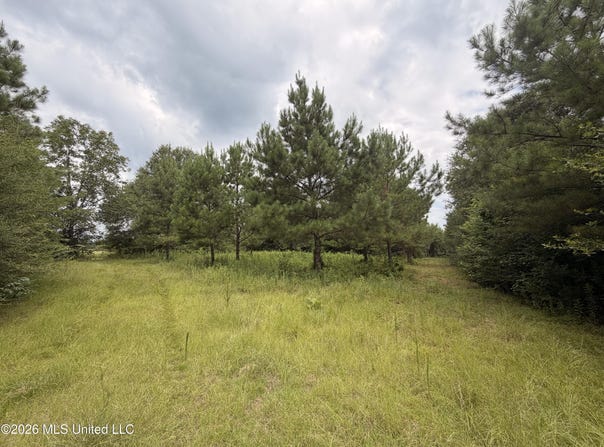 Beartown Road, Jayess, MS 39641