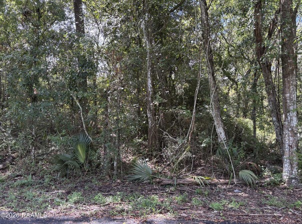 Plantation Place lot: 81, Abbeville, LA 70510