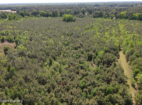 Colice Hall Lane, Ahoskie, NC 27910