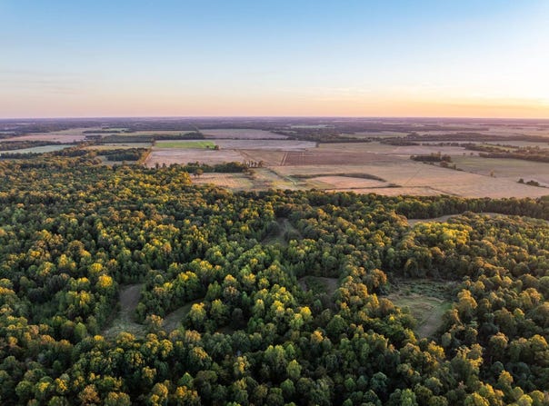 Lee Rd 229, La Grange, AR 72352