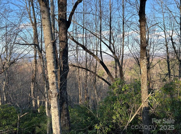 Howell Road, Brevard, NC 28712