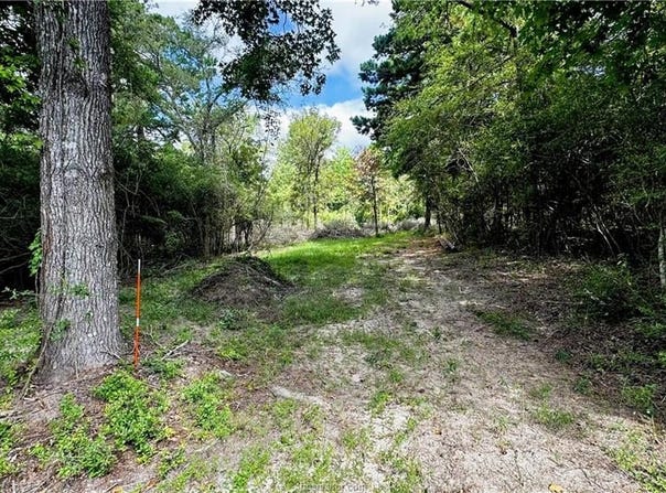 7103 FM 3178, Centerville, TX 75833