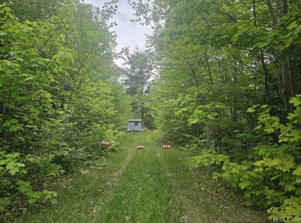 10098 US 41 Highway, Skandia, MI 49885