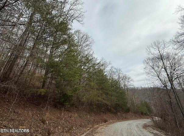 JONES RIDGE RD, Speedwell, TN 37870