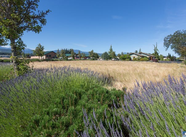 Eureka Way lot: 7, Sequim, WA 98382-0000