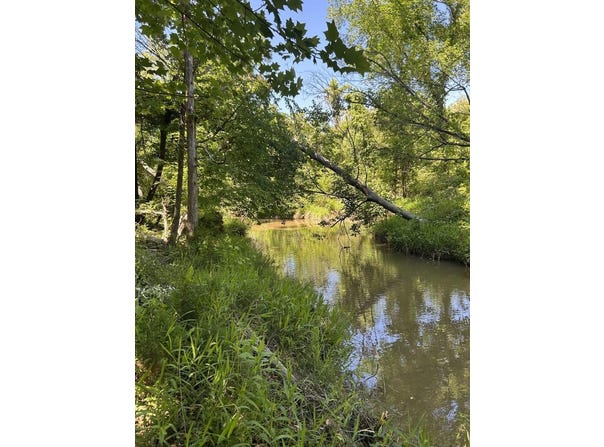 143 Terrapin Pointe, Hodges, SC 29653
