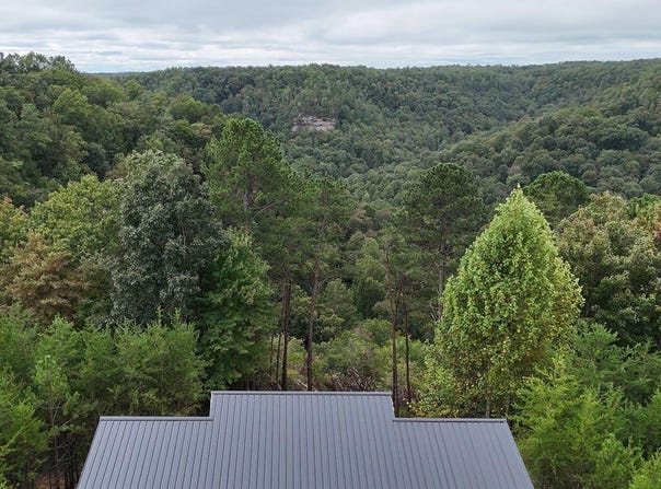 975 Wildcat Ridge Lane, Rogers, KY 41365