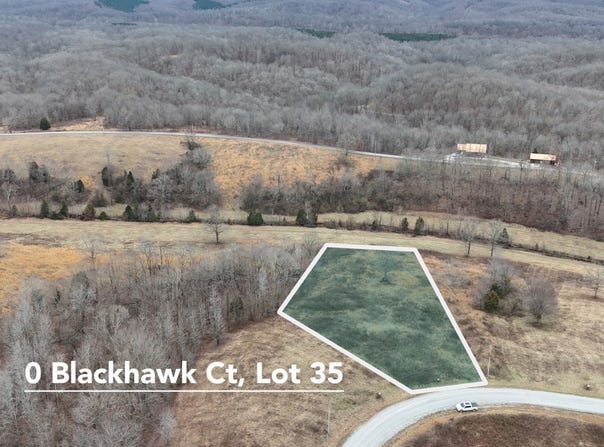 0 Blackhawk Ct, Waverly, TN 37185