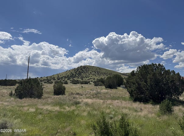 20 County Road 5203, Concho, AZ 85924