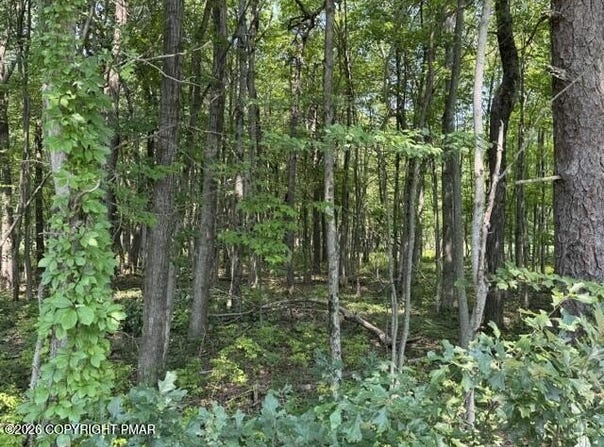 Panther Run Road & Robertson, Jim Thorpe, PA 18229