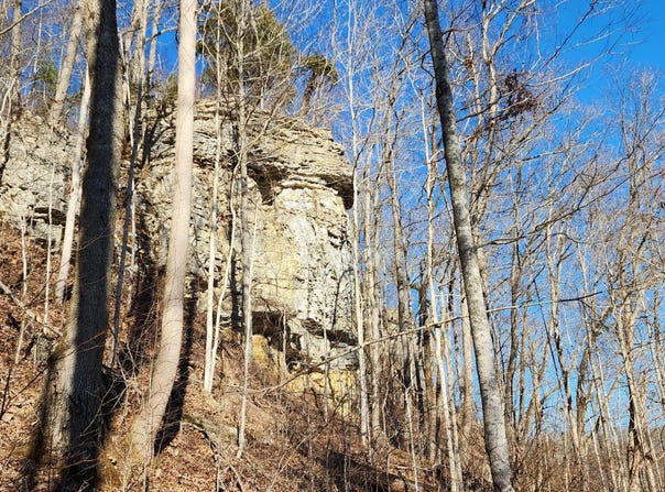 Birch Hollow Rd lot: # 20 Phase 3, Stanton, KY 40380