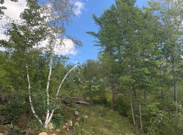 CATOR DR lot: 2, Minocqua, WI 54548