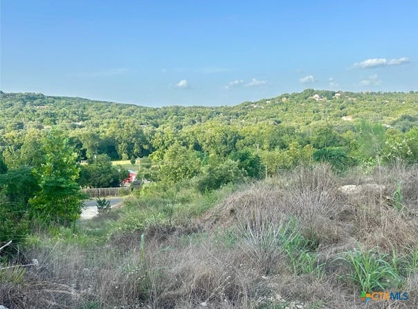 21607 Cold Spring Drive lot: 97B, Leander, TX 78641