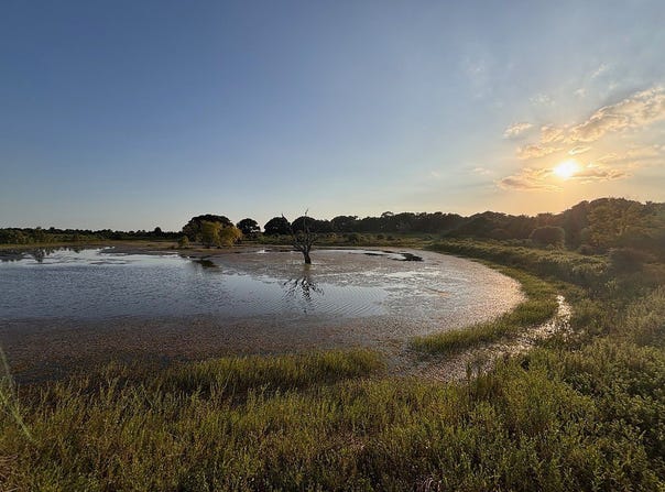 3295 Farm To Market Road 949, Cat Spring, TX 78933
