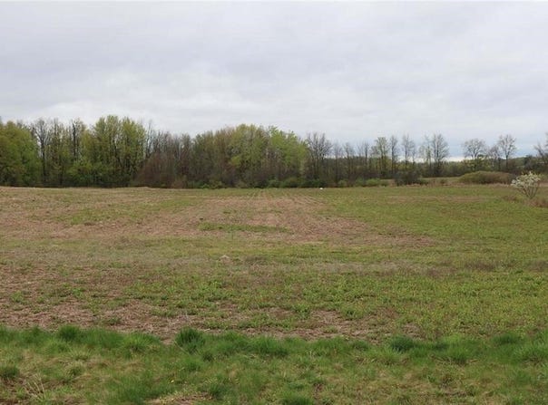 Route 318, Waterloo, NY 13165