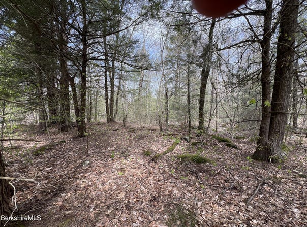 Skyline Ridge Rd lot: 19, Becket, MA 01223