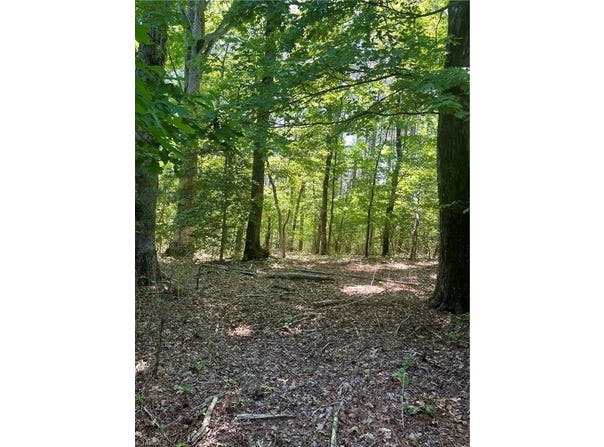 Palmer Road, Westfield, NC 27053