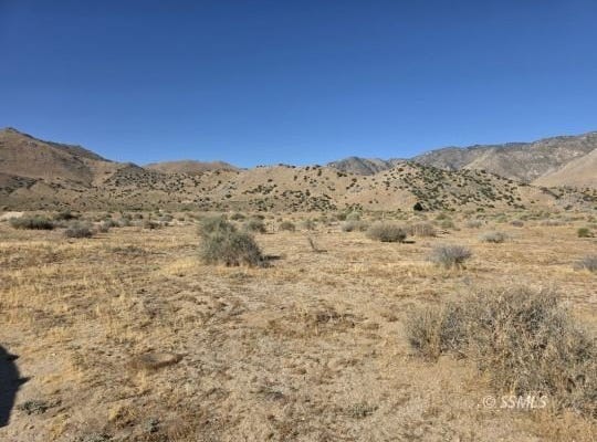 07730007 Kelso Valley Rd, Weldon, CA 93285