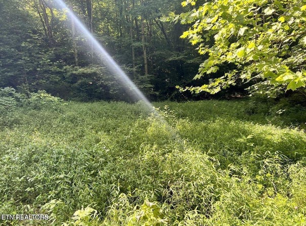 Jackson Ridge Rd, Tazewell, TN 37879