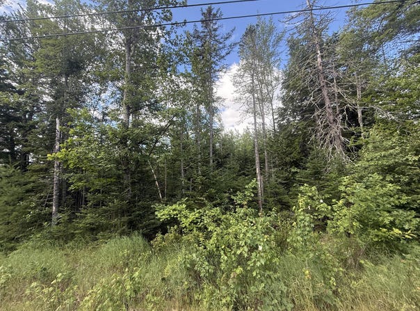 Russell Hill Road lot: #11, Bucksport, ME 04416