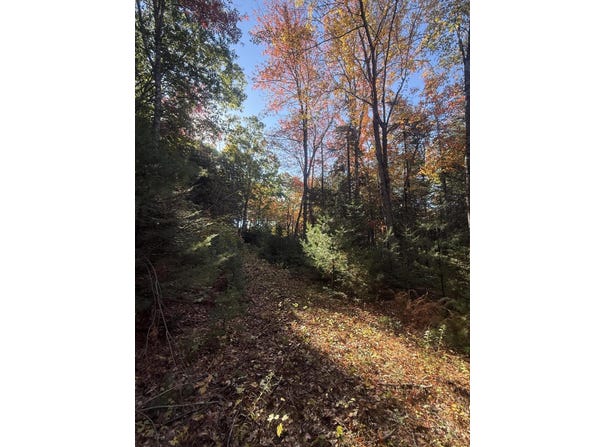 11&15 Bagaduce Lane, Sedgwick, ME 04676