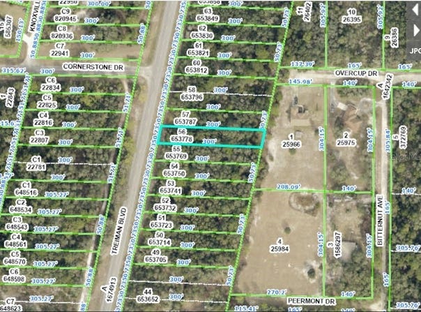 8086 TREIMAN BLVD, WEBSTER, FL 33597
